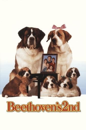 Afacan Köpek Beethoven 2