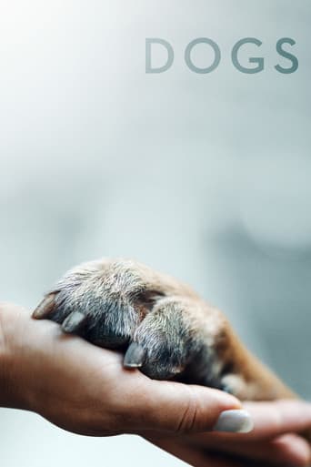 Köpekler