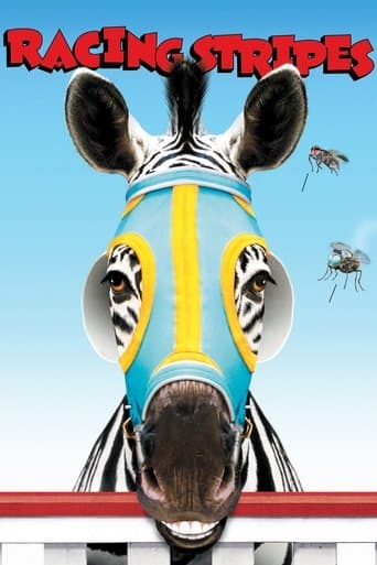 Yarışçı Zebra
