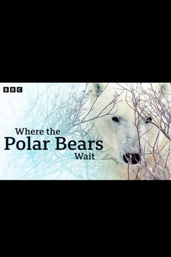 Where the Polar Bears Wait