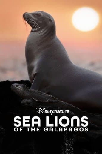 Galapagos'un Denizaslanları