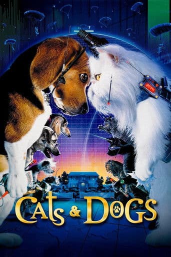 Kediler ve Köpekler