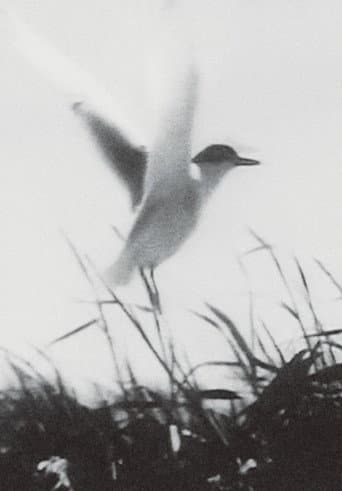 Inhabitants