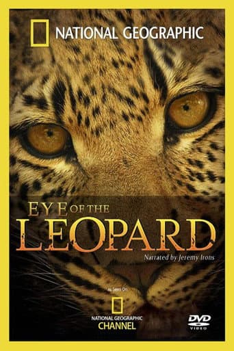 Leoparın Gözleri